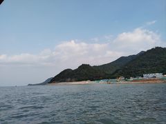 -杨梅坑