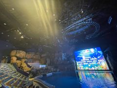 -芜湖新华联大白鲸海洋公园