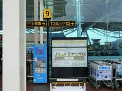 -重庆江北国际机场-T2航站楼