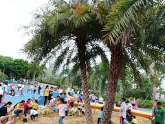 -宝安西湾红树林湿地公园