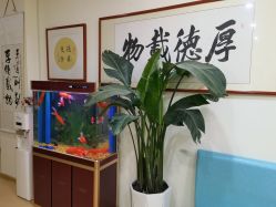 -颐健堂健康管理中心(宝龙店)
