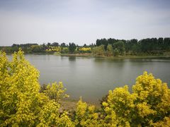-东郊湿地公园