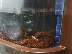 -雅苑中餐厅