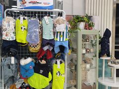 -欧奕国际动物医院