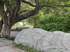 -柳侯公园