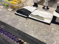 -虹桥机场V2贵宾休息室