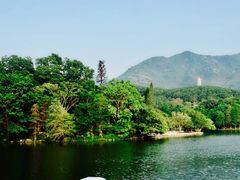 -深圳仙湖植物园