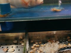 -喜庭海鲜自助(佛山王府井店)