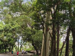 -白云山风景名胜区