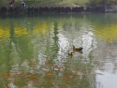 -河北省园博园