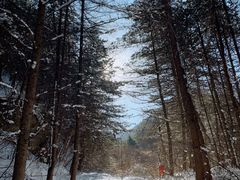 -秦岭风景区