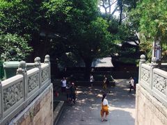 -普陀山风景名胜区-法雨禅寺