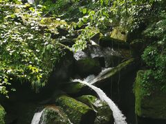 -碧峰峡风景区