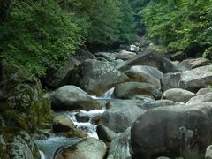 -大鄣山卧龙谷景区