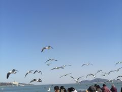 -幸福门