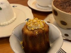 可露丽-Ginko银子(青龙街店)