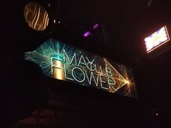 -五月花酒吧(民德路店)