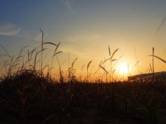 -青岛银沙滩