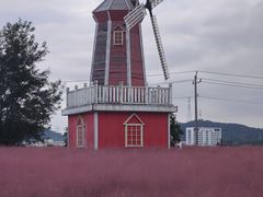 -羊亭河湿地公园