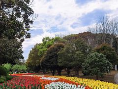 -上海鲜花港