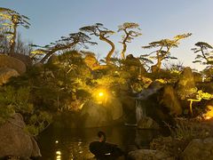 -罗红摄影艺术馆