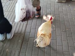 -桃源市场(解放路店)