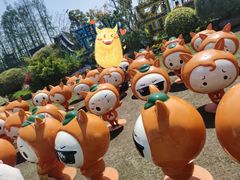 -上海长兴岛郊野公园
