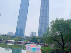 -陆家嘴中心绿地