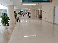 -中国人民解放军总医院