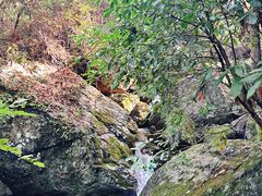 -大鄣山卧龙谷景区