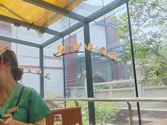 -唐猫庭院·千年陕菜(大唐不夜城店)