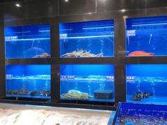 水产区-金时代顺风大酒店(临港百联店)