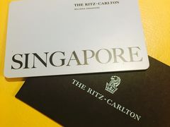-新加坡丽思卡尔顿美年酒店