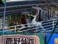 -盈香心动乐园