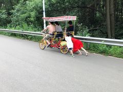 -青龙山国家森林公园