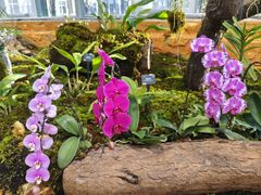 -国家植物园南园