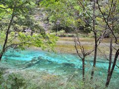 -九寨沟-树正沟