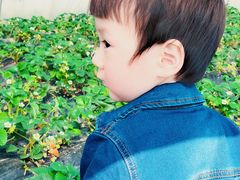 -小鱼草莓采摘园农家乐·小鱼餐厅