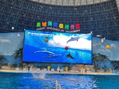 -泉城欧乐堡海洋极地世界