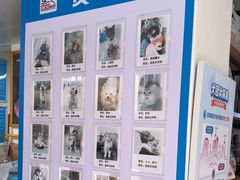 -康爱犬猫诊所·牙专科·骨外科·影像内科(丰宁店)