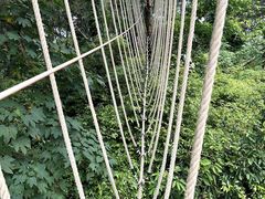-芦仙山景区-飞越丛林探险乐园