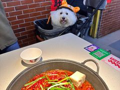 -芈重山老火锅(广州首店)