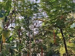 -郑州植物园