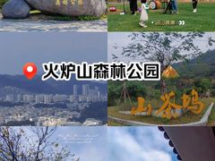 -火炉山森林公园