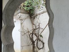 -芥子园
