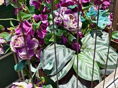 -日日鲜茶餐厅(小公园店)