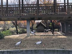 -无锡动物园·太湖欢乐园