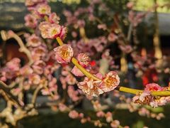 -成都杜甫草堂博物馆