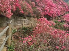 -木兰云雾山