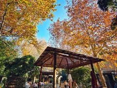 -春晖园度假酒店温泉